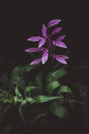 超级一键清理app